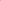 Pink And Purple Lupin Flowers