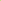 White Daisy Greens