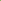 Green Leaf Flower