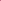 Delicate Pink Rose