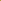 Mustard Sunflower