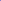 Purple Bluebells