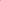 Green Leaves Close-Up