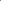 Purple Velvet Rose