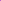 Buddha Popart Purple