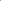 Blossom Twig