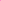 Baby Pink On Pink Gerbera