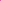 Sea Of Pink Flowers