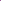 Purple Velvet Rose