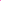 Pink Flamingo 1