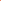 Red Leaf Frog