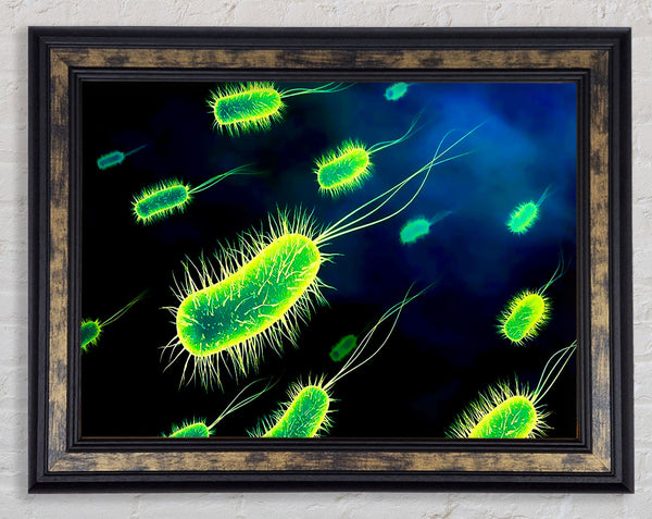 Manifestation Framed Print
