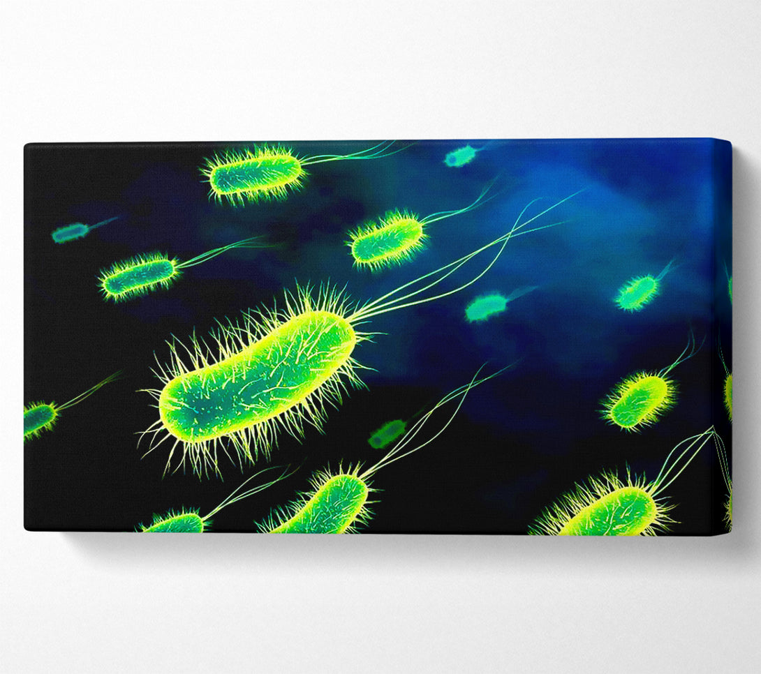 A Canvas Print of Manifestation Canvas Wall Art