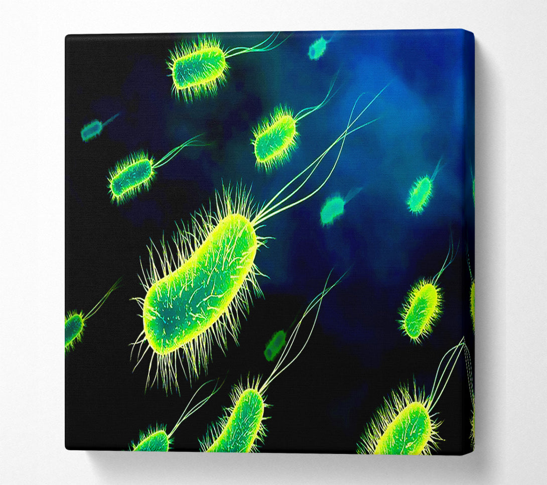  A Canvas Print of Manifestation Canvas Wall Art