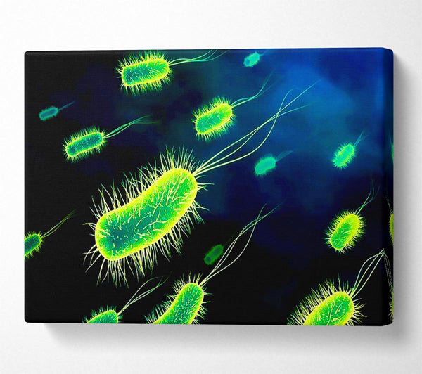  A Canvas Print of Manifestation Canvas Wall Art