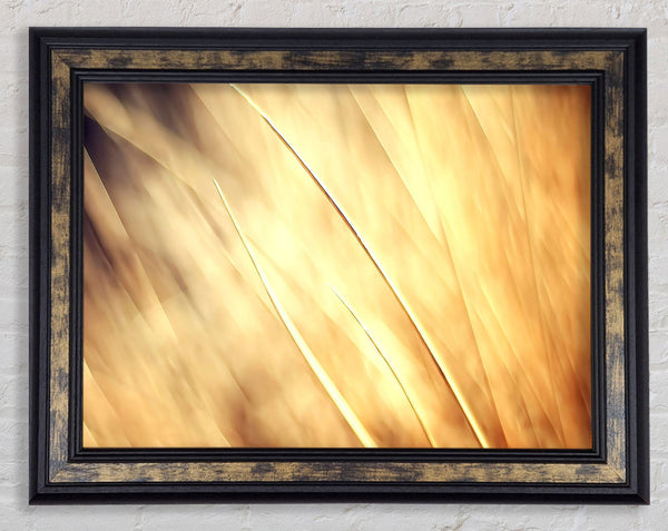 Autumn Grass Framed Print