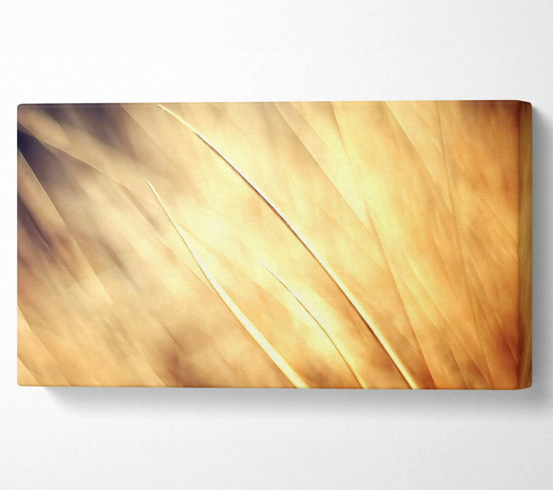  A Canvas Print of Autumn Grass Canvas Print