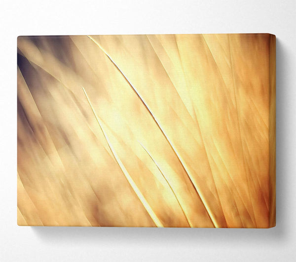  A Canvas Print of Autumn Grass Canvas Print