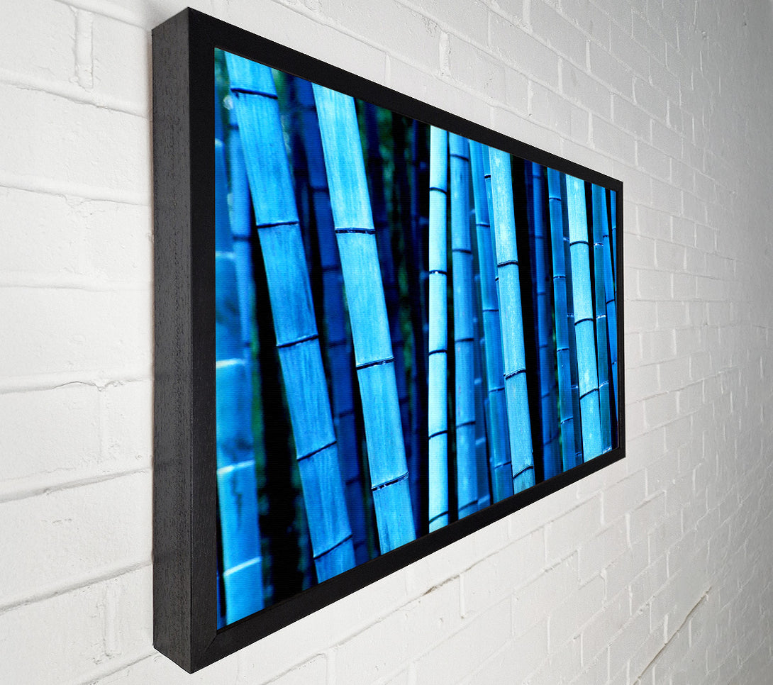  A Canvas Print of Bamboo Blues Canvas Print