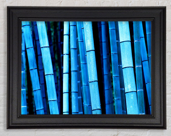 Bamboo Blues Framed Print