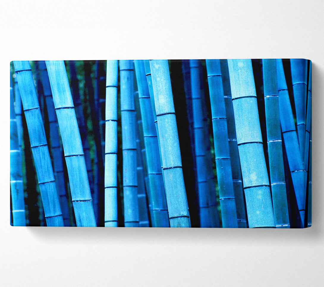  A Canvas Print of Bamboo Blues Canvas Print