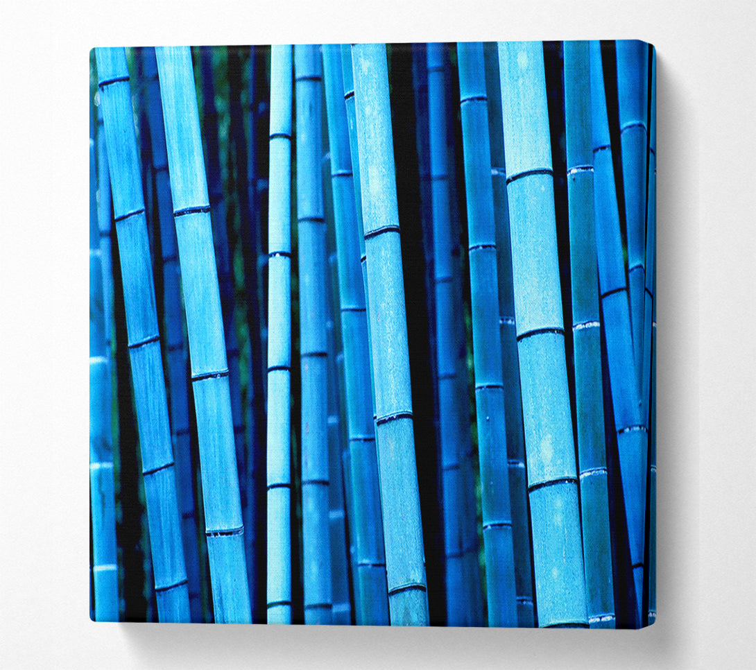  A Canvas Print of Bamboo Blues Canvas Print