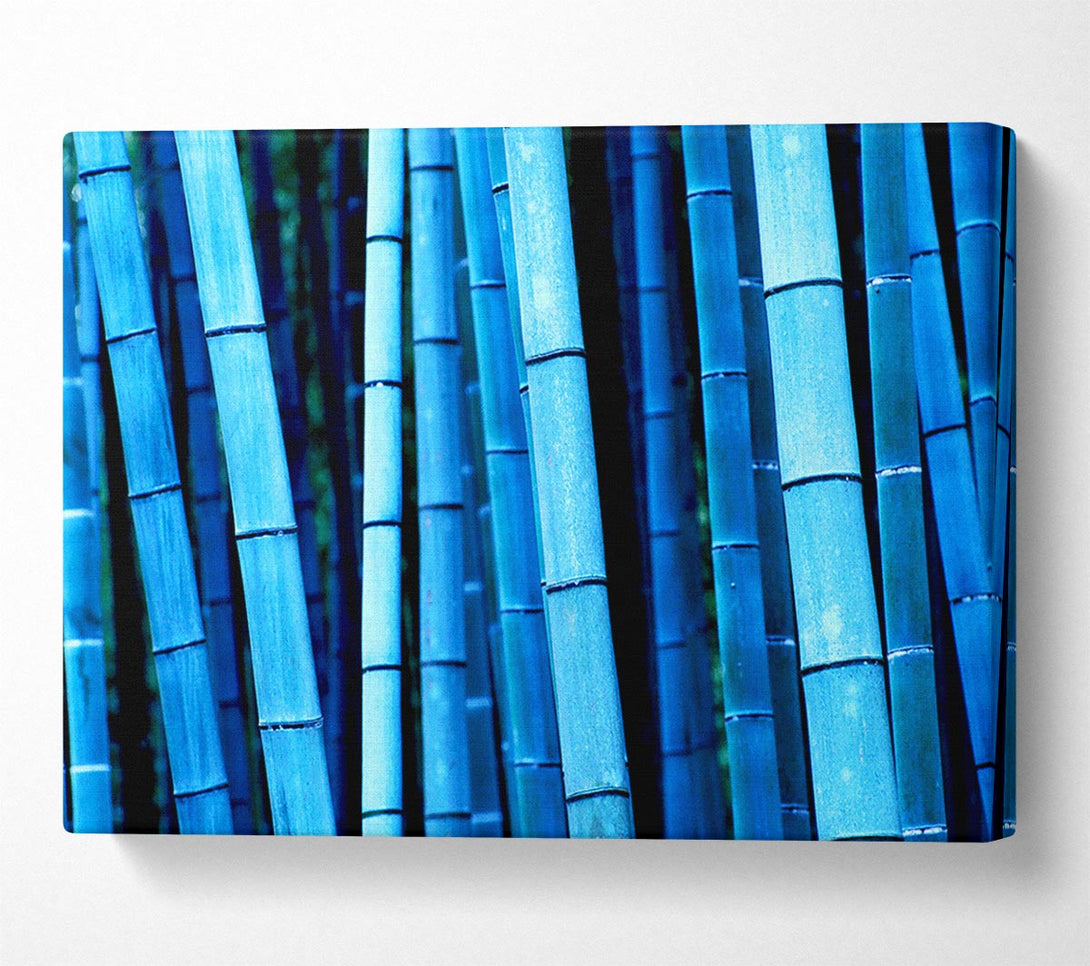  A Canvas Print of Bamboo Blues Canvas Print