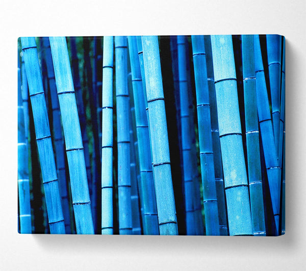  A Canvas Print of Bamboo Blues Canvas Print