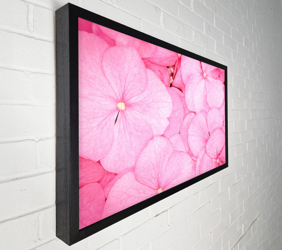  A Canvas Print of Bed Of Petals Canvas Wall Art