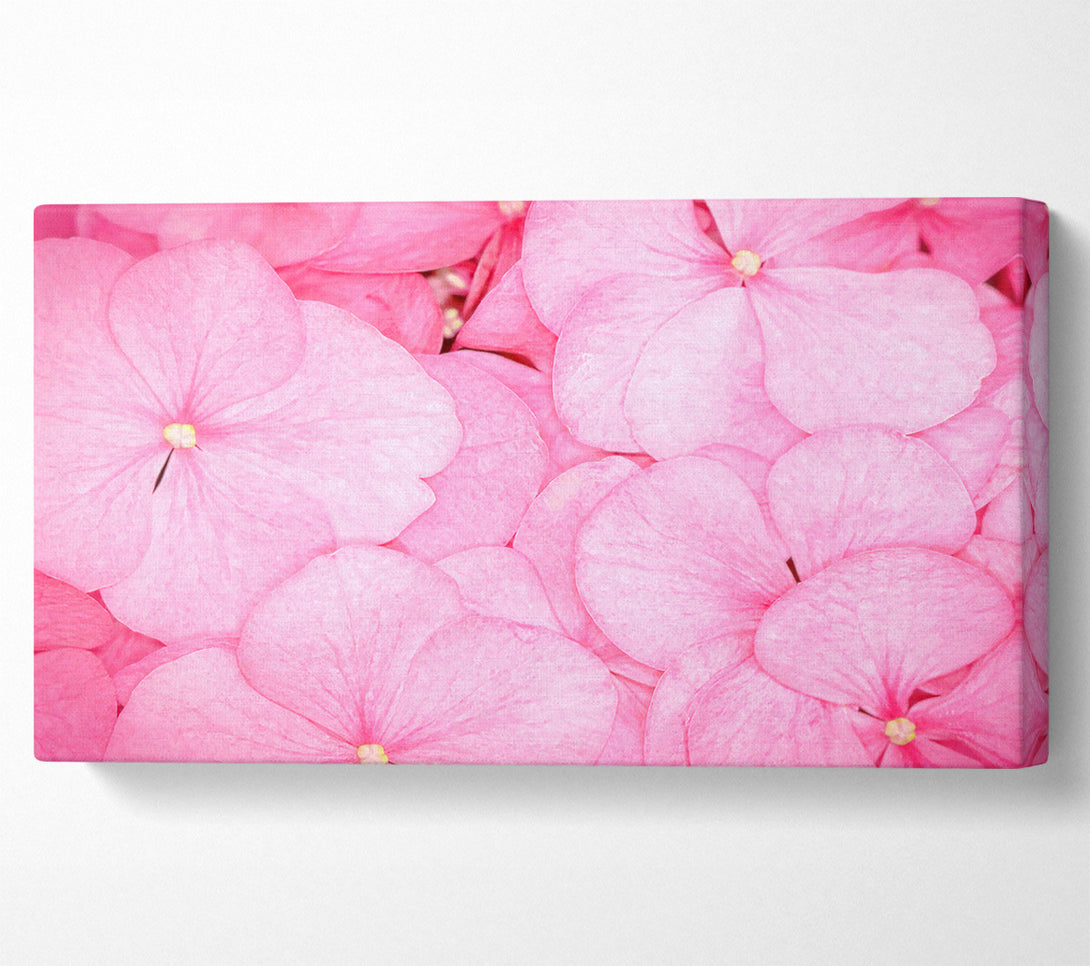  A Canvas Print of Bed Of Petals Canvas Wall Art