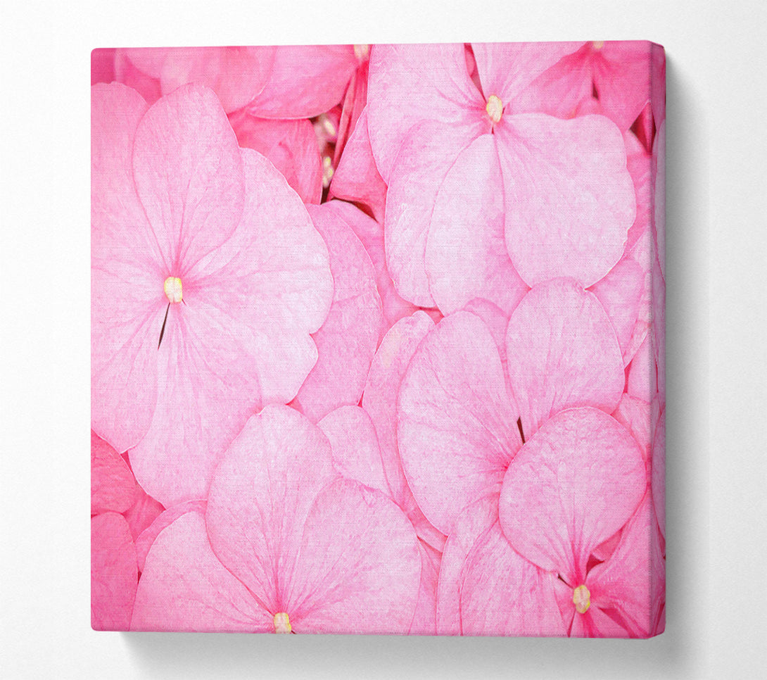  A Canvas Print of Bed Of Petals Canvas Wall Art