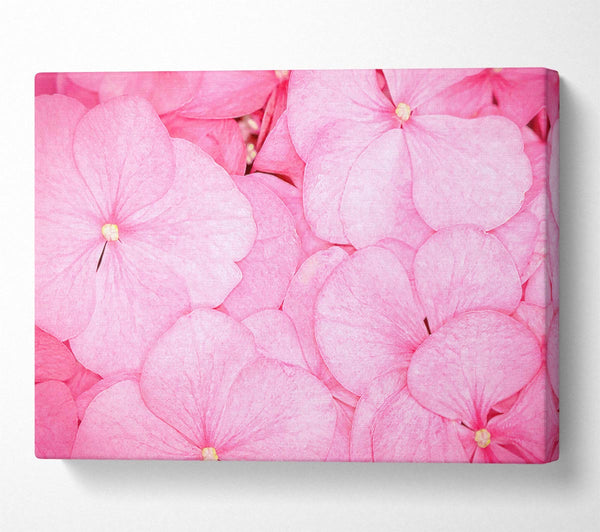  A Canvas Print of Bed Of Petals Canvas Wall Art