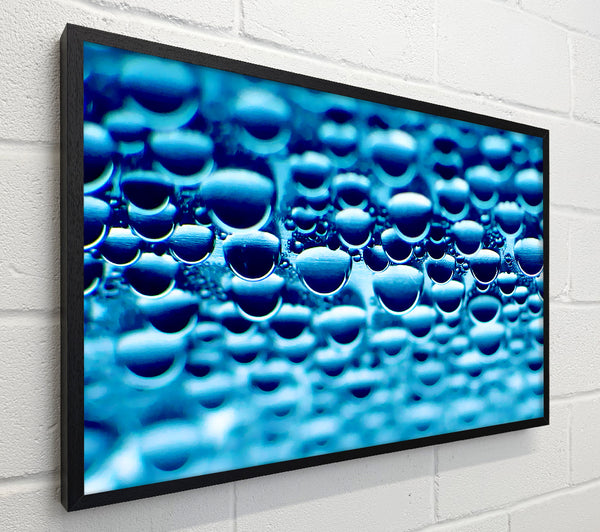 Blue Water Hibernation