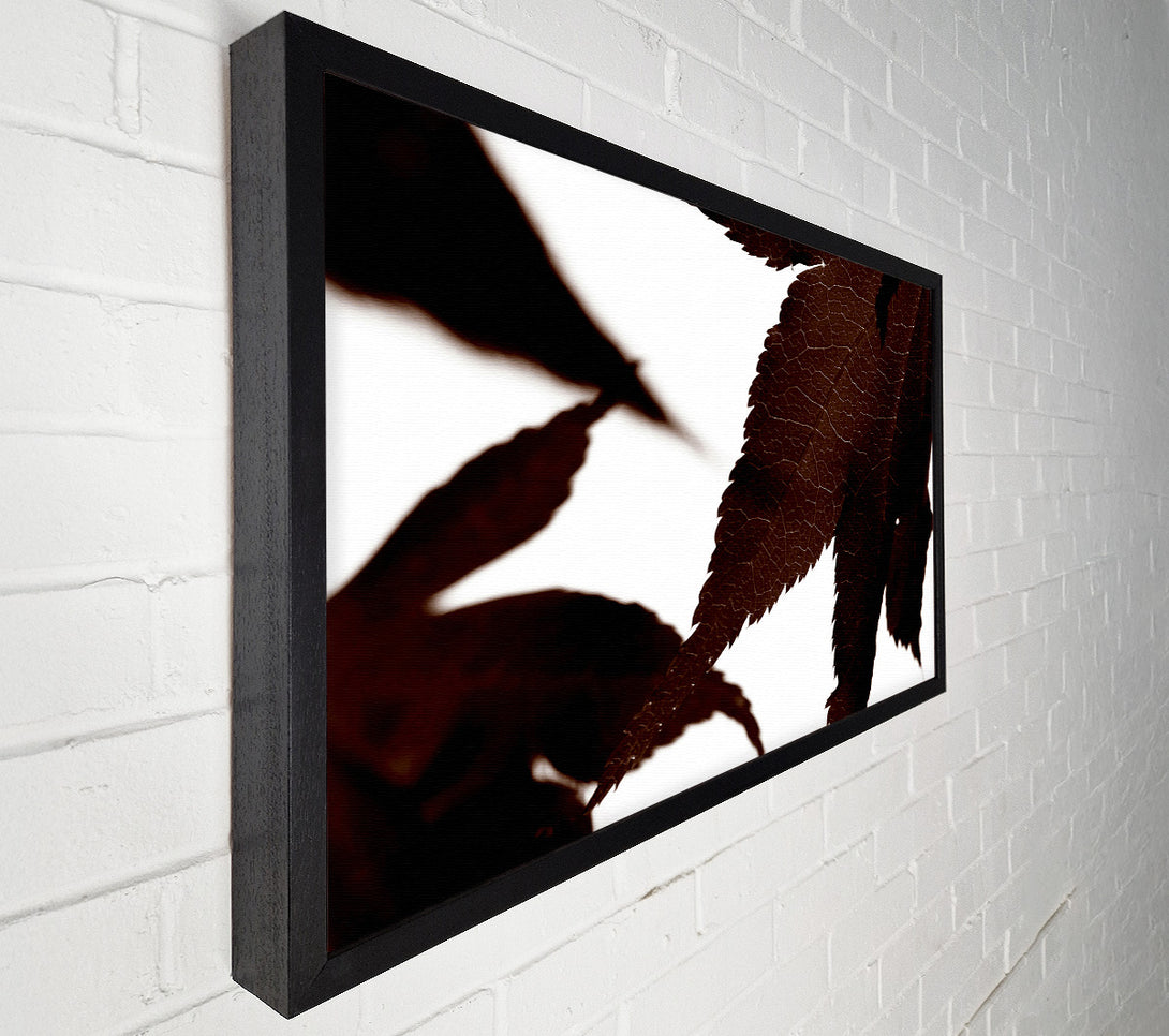  A Canvas Print of Brown Autumn Leaf Canvas Wall Art