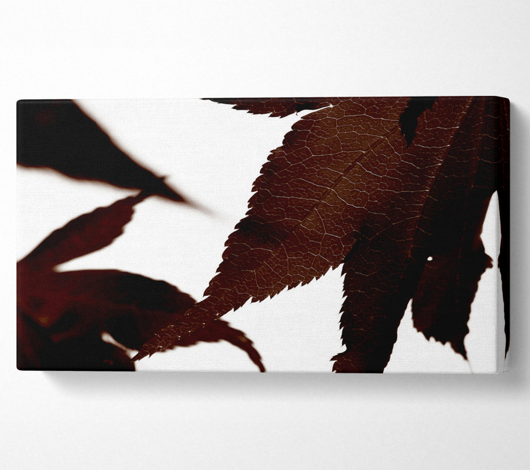  A Canvas Print of Brown Autumn Leaf Canvas Wall Art