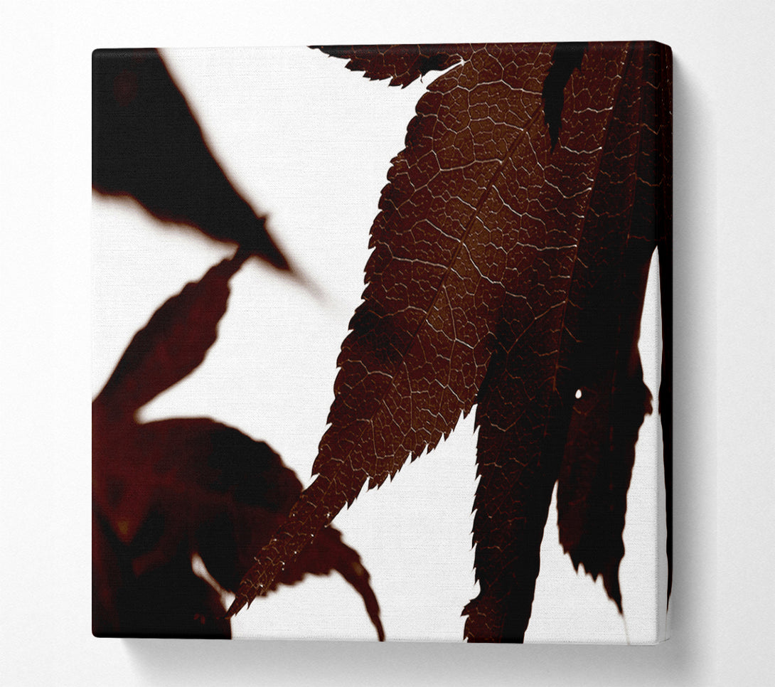  A Canvas Print of Brown Autumn Leaf Canvas Wall Art