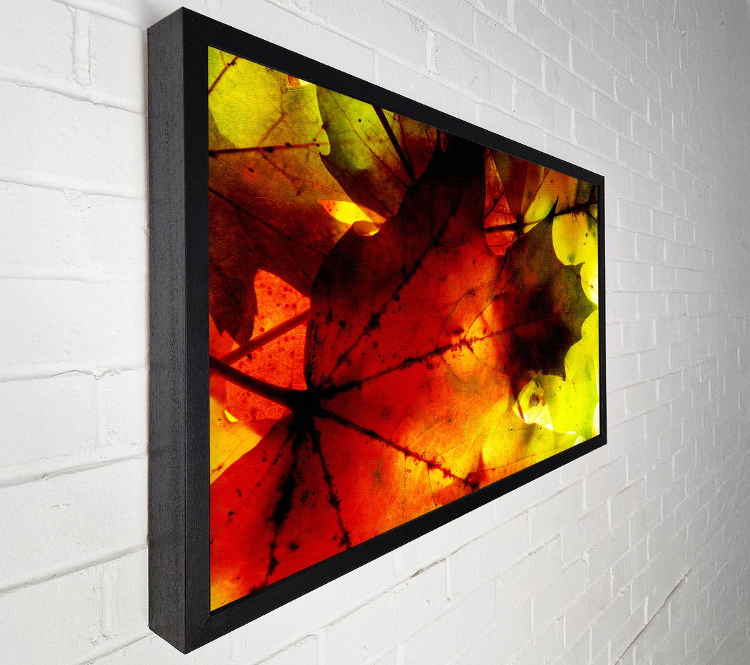  A Canvas Print of Bursting With Life Canvas Art