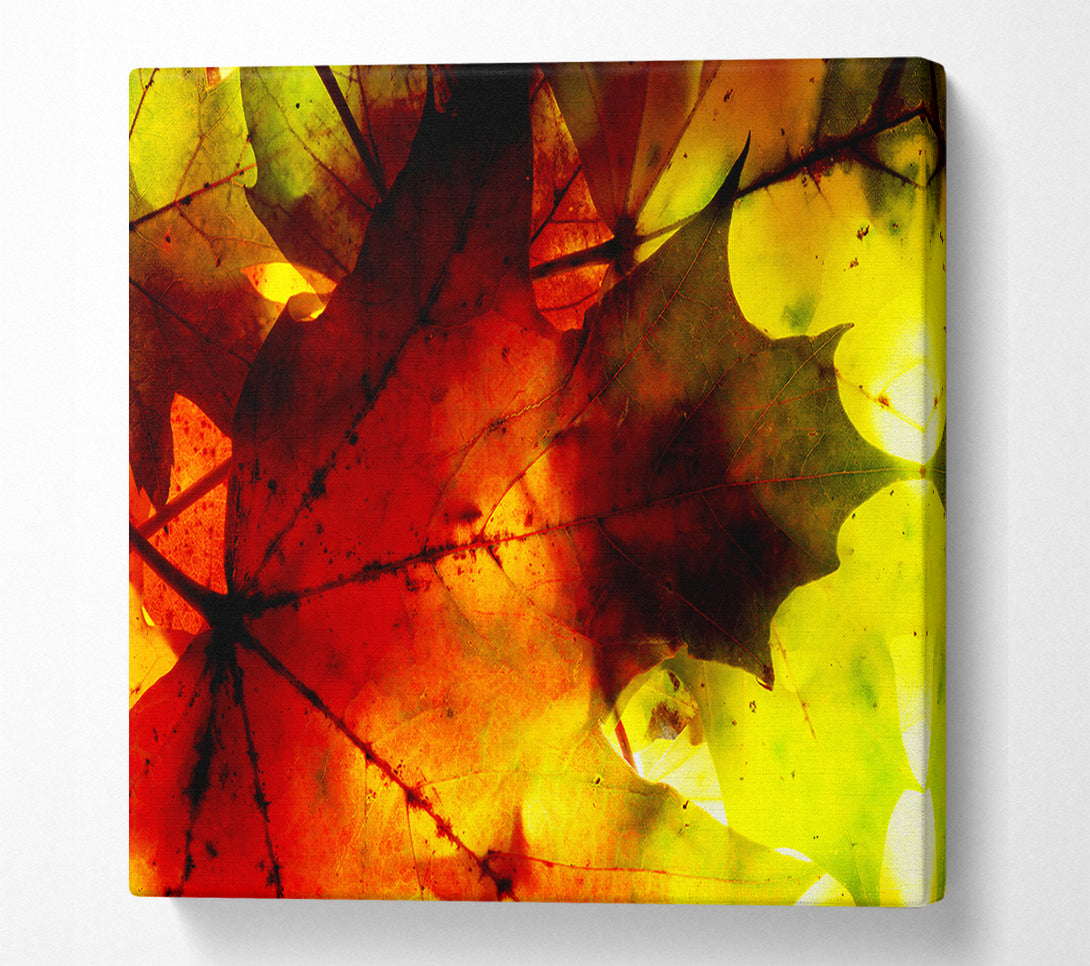  A Canvas Print of Bursting With Life Canvas Art