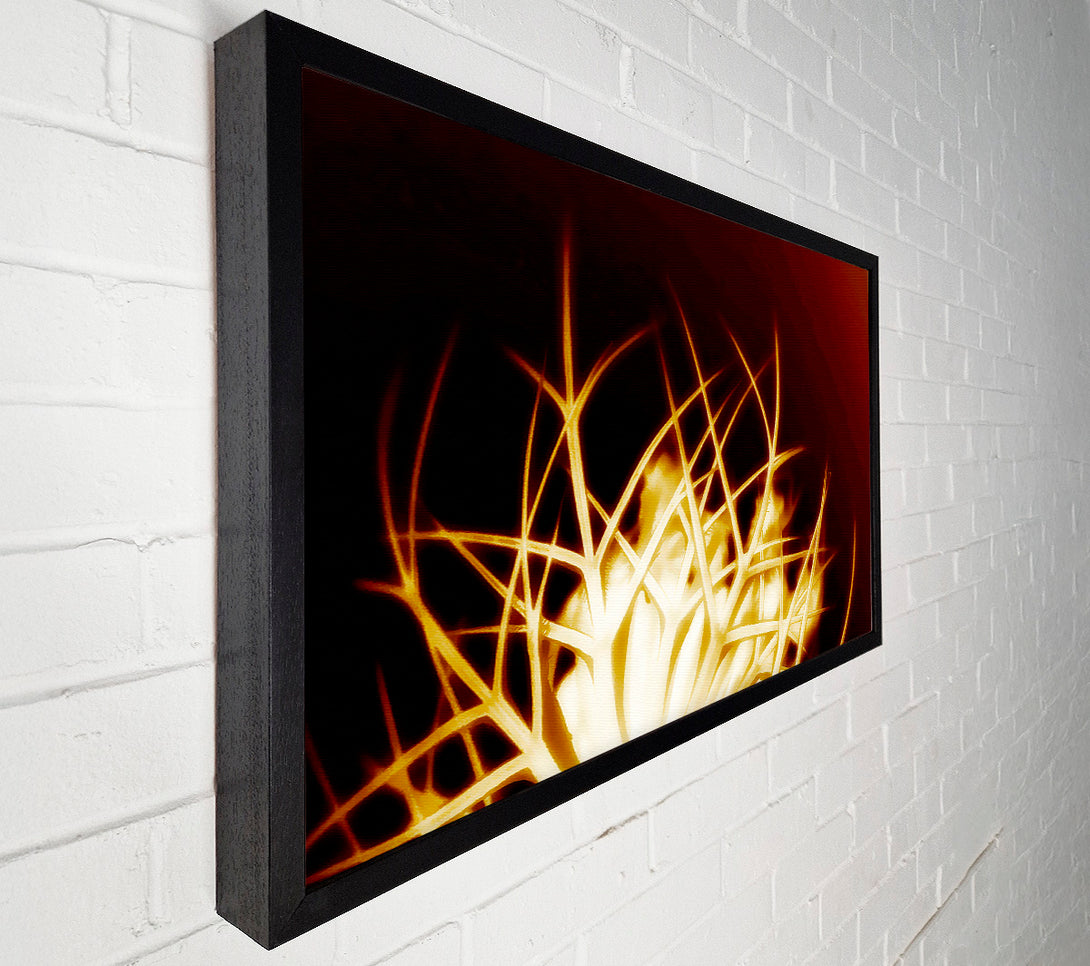  A Canvas Print of Caramel Thorns Canvas Print