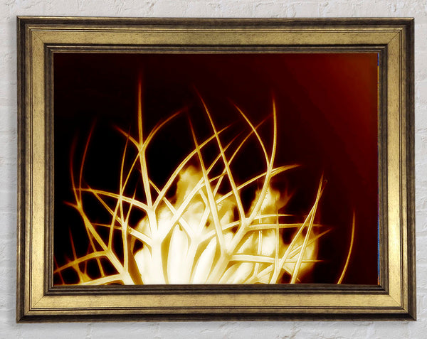 Caramel Thorns Framed Print