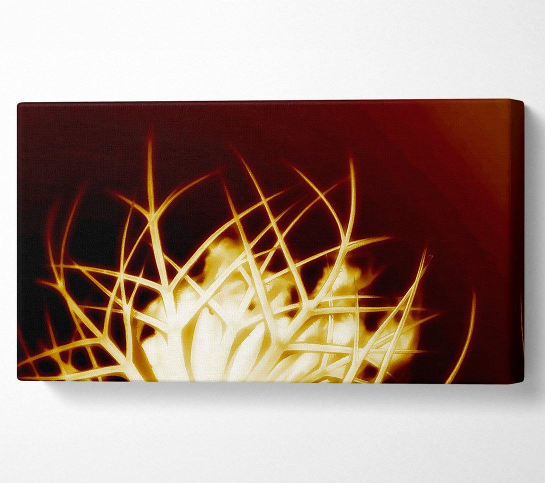  A Canvas Print of Caramel Thorns Canvas Print