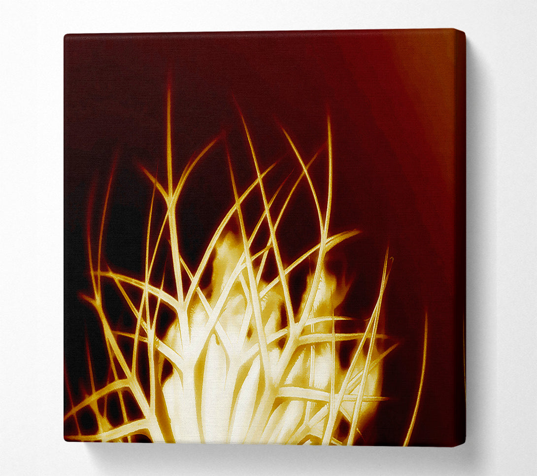  A Canvas Print of Caramel Thorns Canvas Print