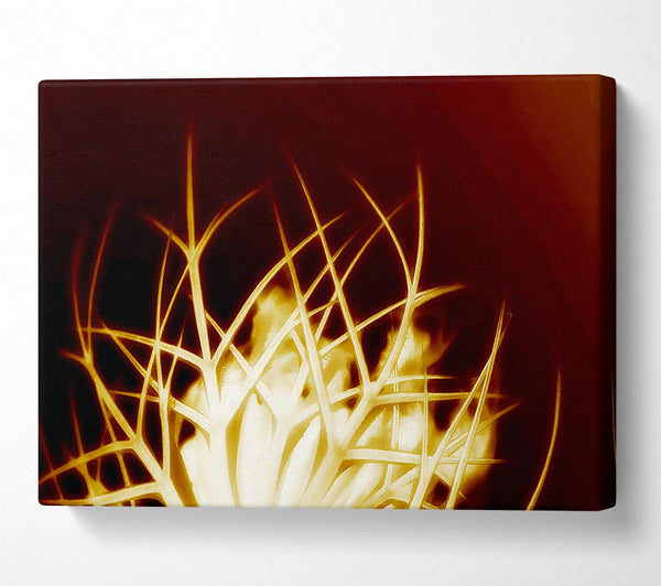  A Canvas Print of Caramel Thorns Canvas Print