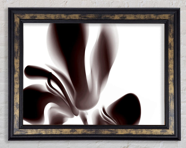 Chocolate Petals Framed Print
