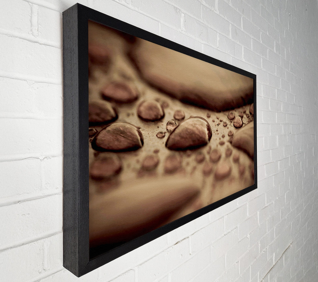  A Canvas Print of Chocolate Raindrop Canvas Art
