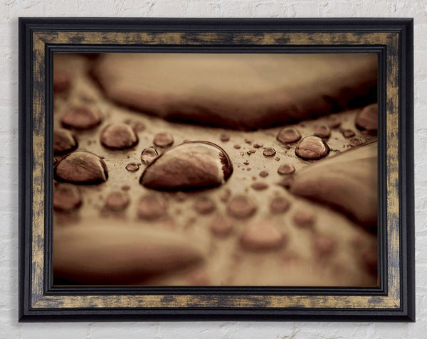 Chocolate Raindrop Framed Print