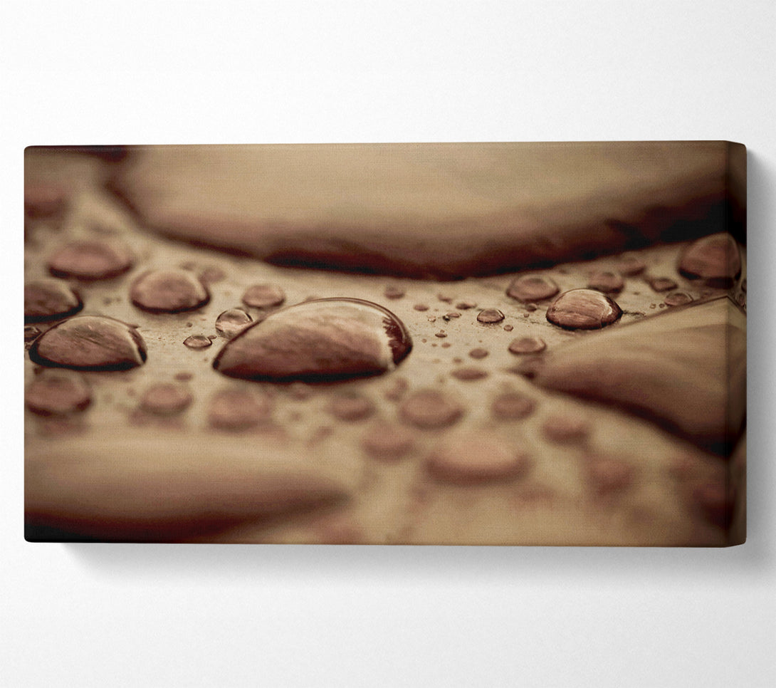  A Canvas Print of Chocolate Raindrop Canvas Art
