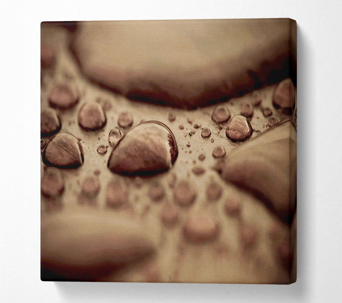  A Canvas Print of Chocolate Raindrop Canvas Art