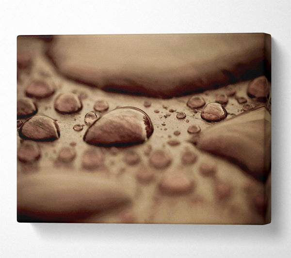  A Canvas Print of Chocolate Raindrop Canvas Art