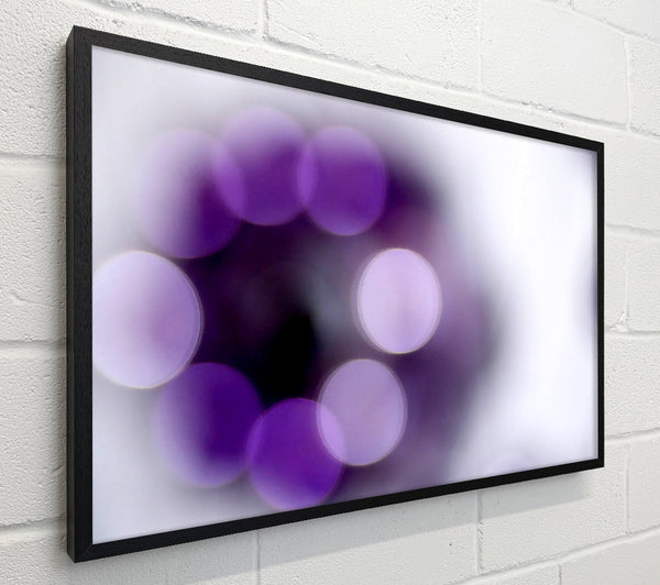 Circle Of Purple